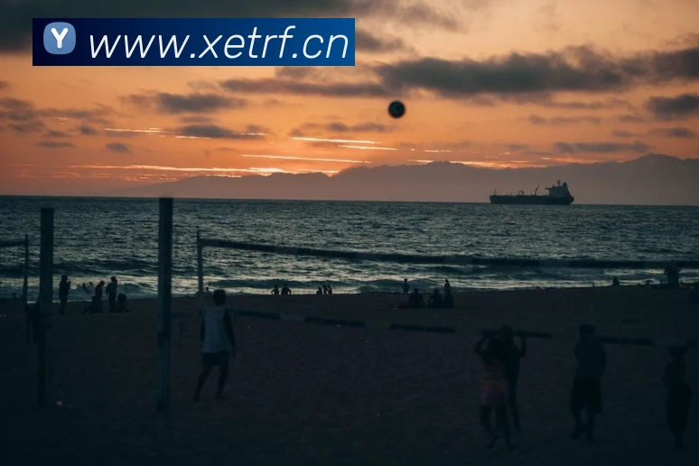 leyu乐鱼官方登录入口平台生态图