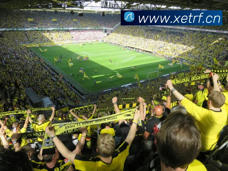 leyu乐鱼官方登录入口APP 封面图